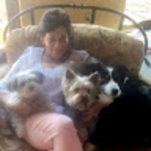 Meet your Posher, Rose